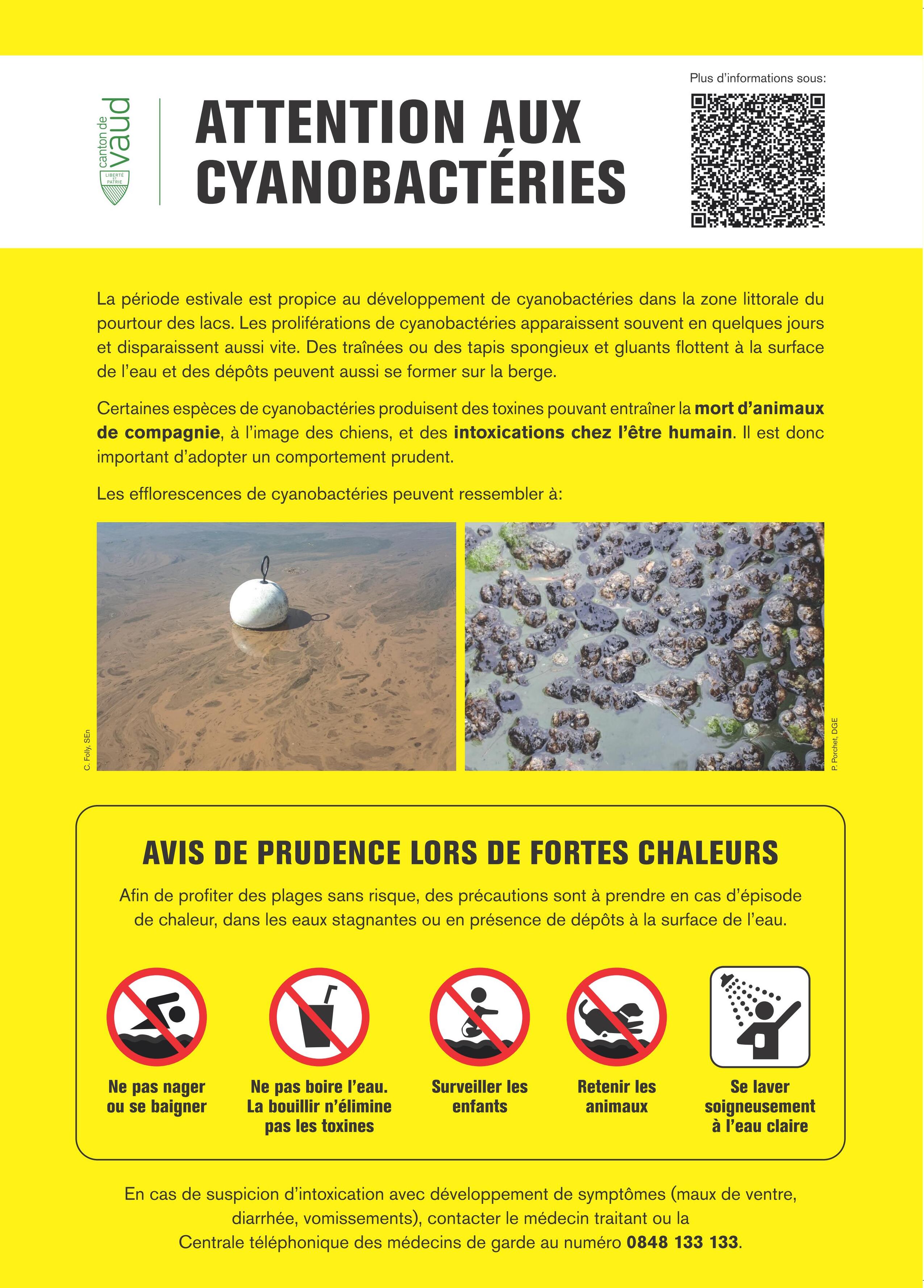 affiche cyanobactéries